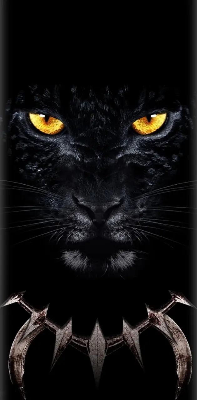 cool black panther wallpaper
