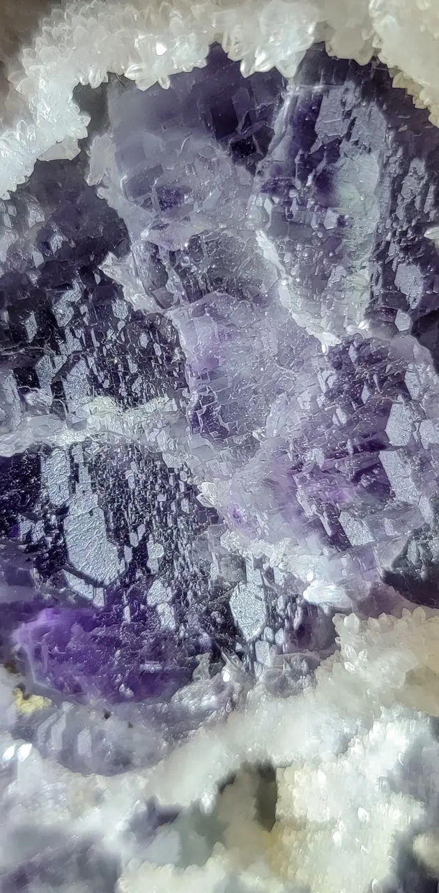 Lateral Purple Fluorit