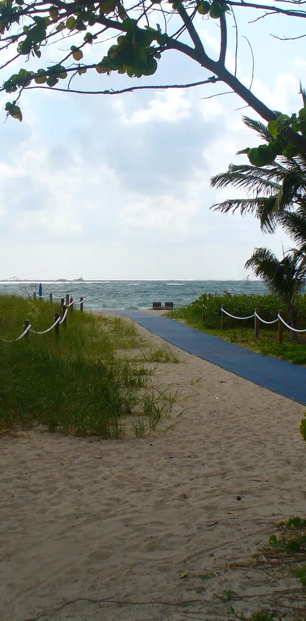 Beach Pathway