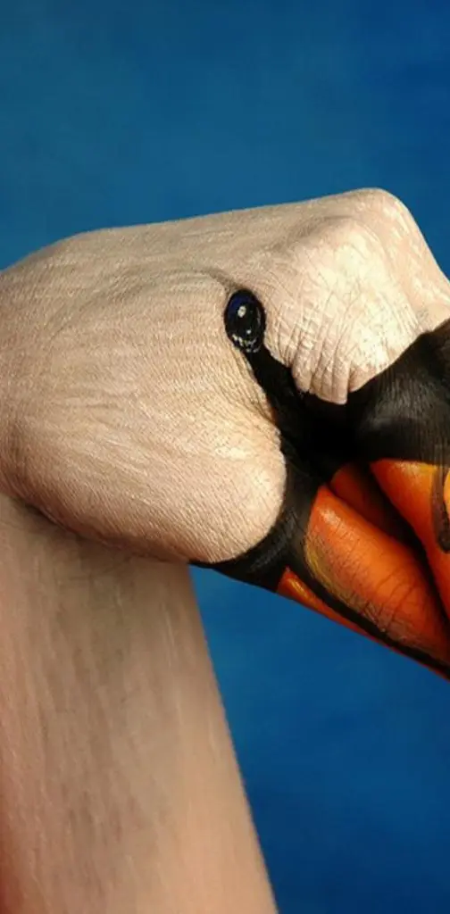 Hand painting Duck