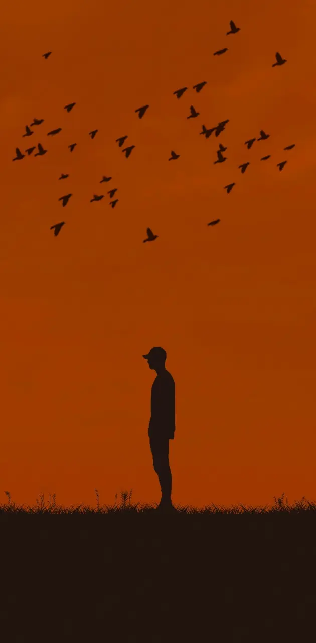 Man silhouette Bird