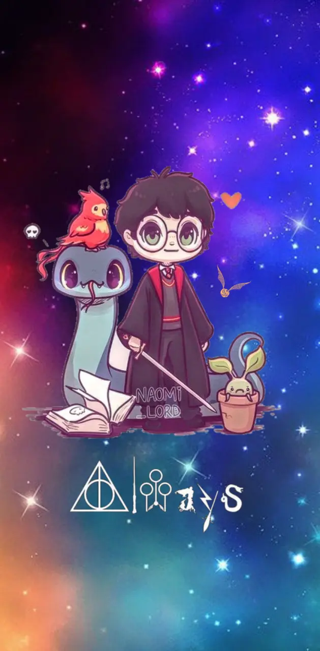 Harry Potter sorcier