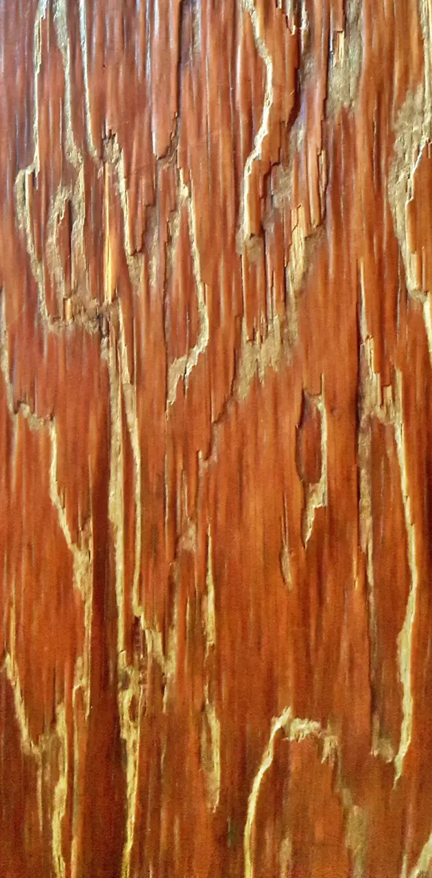 DLR wood grain