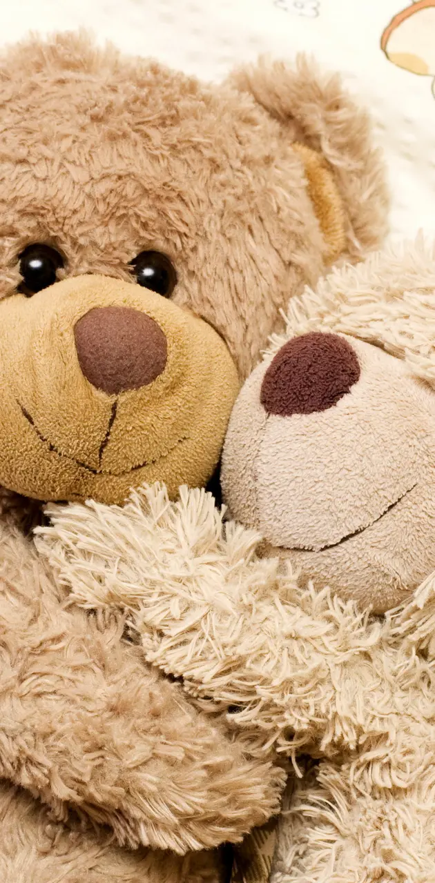 Teddy Bears Love