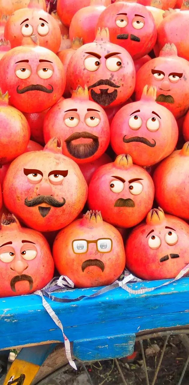 Pomegranate family