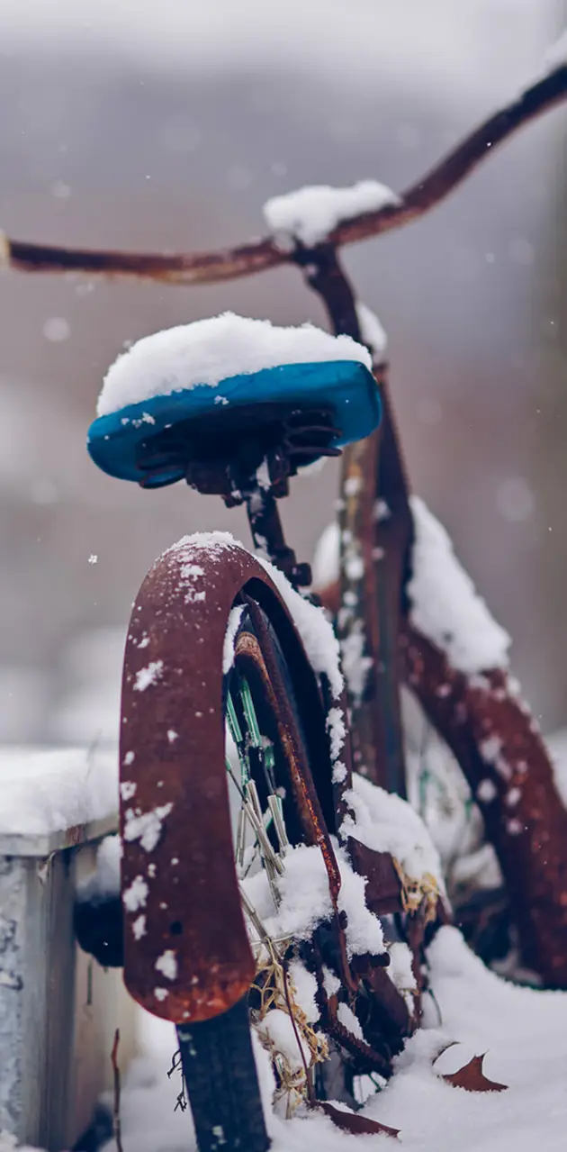 Snowy Bicycle