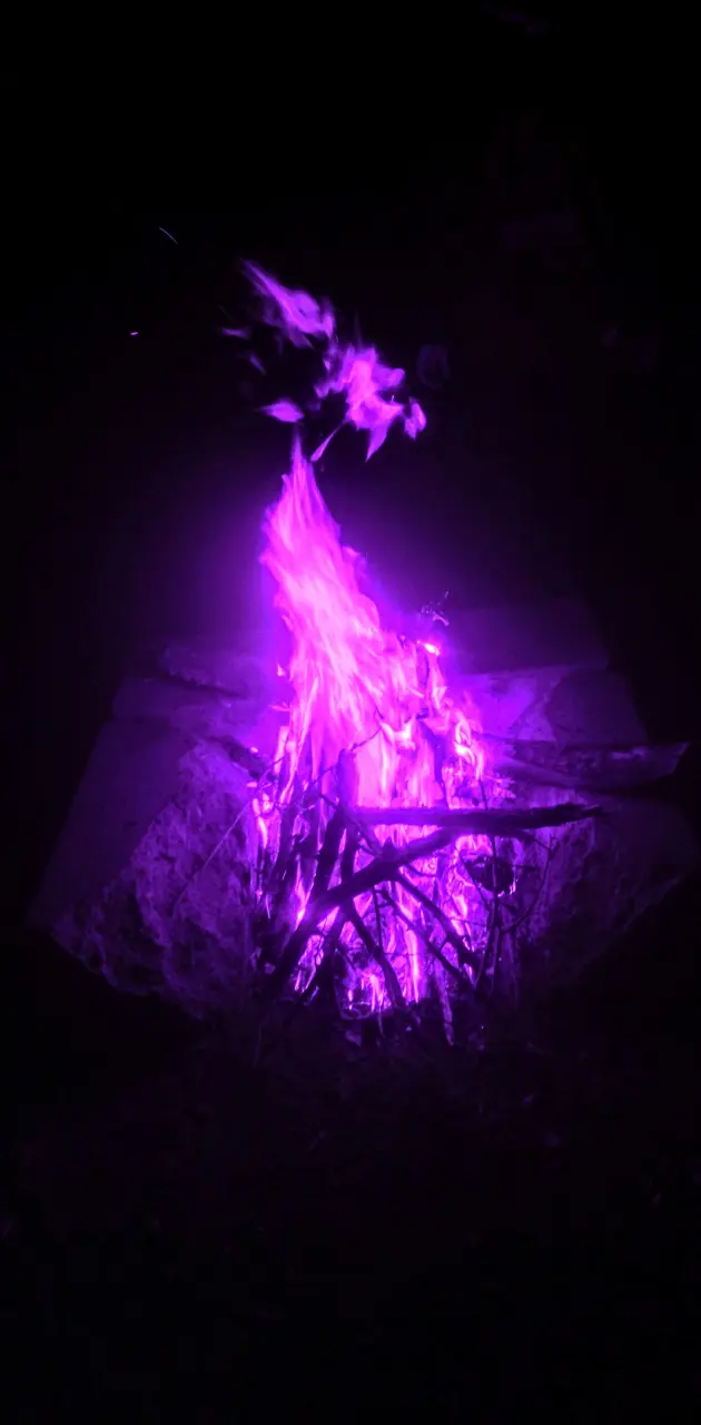Blaze of purple
