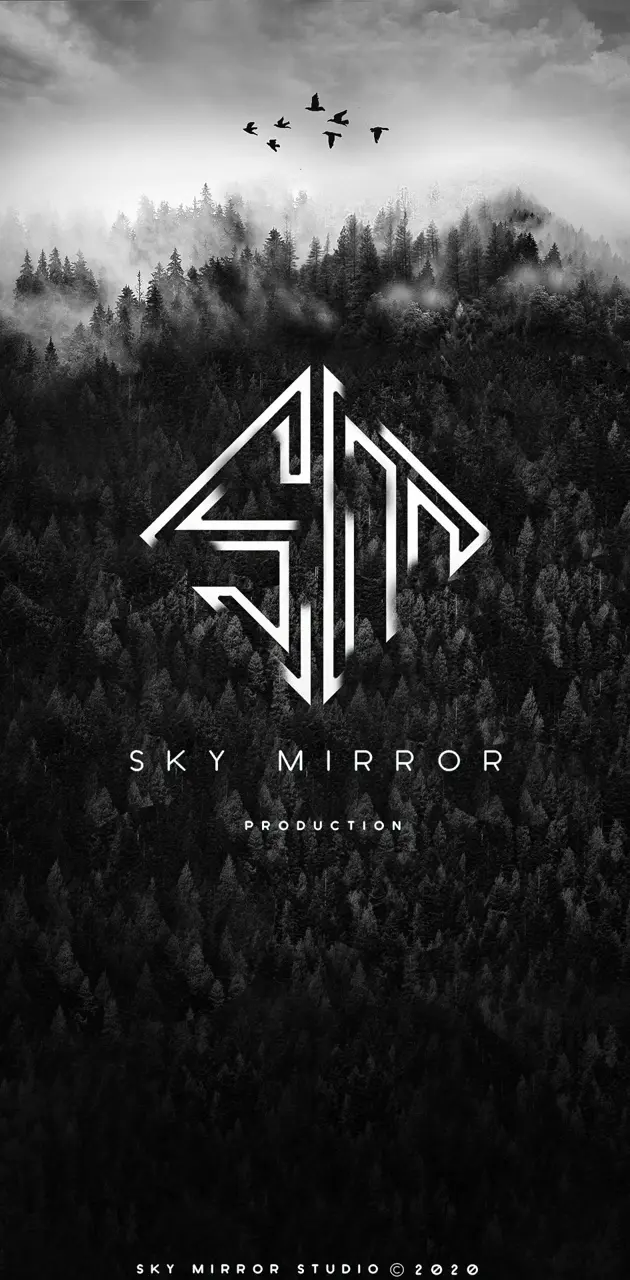 Sky Mirror 