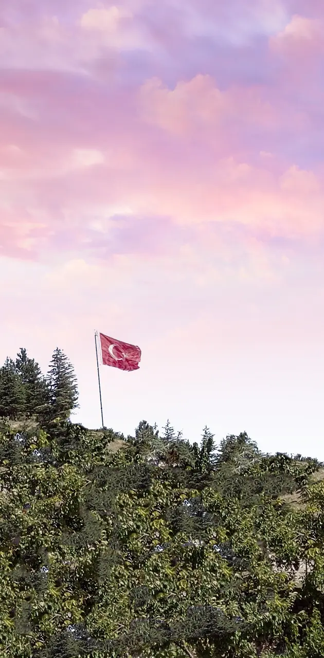 Turk bayragi bayrak