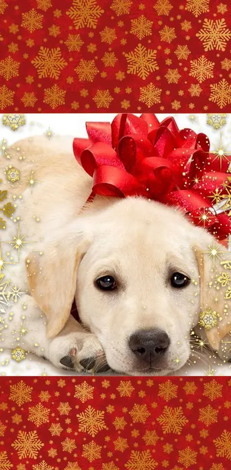Christmas Puppy Lock