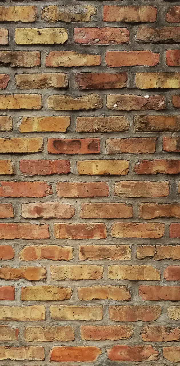 Blank bricks 