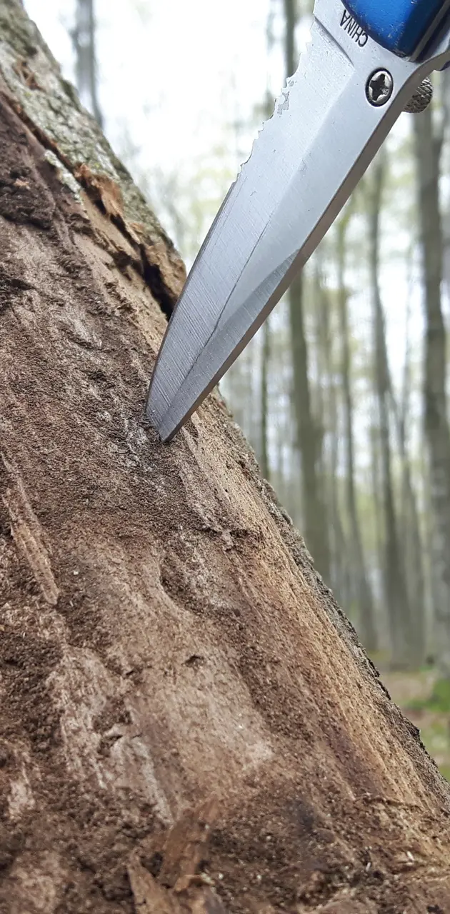 Knife in tree