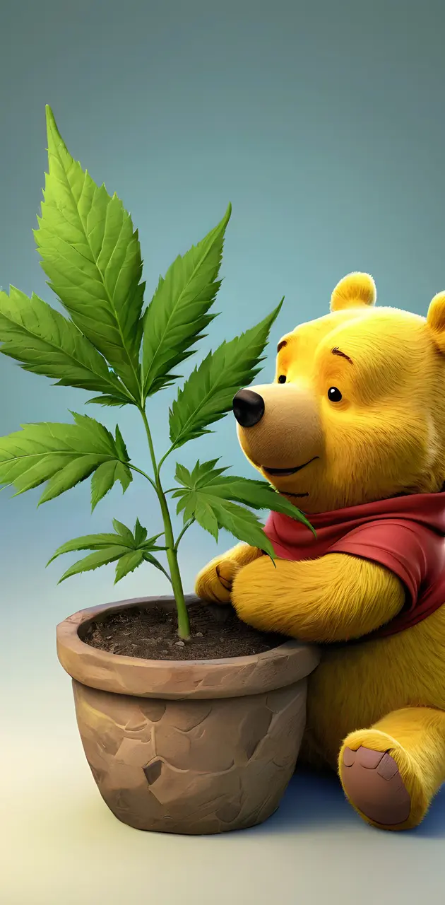 3D, Pooh Bear
