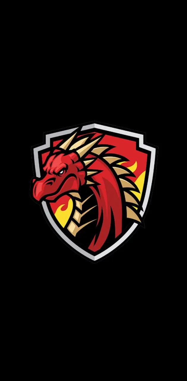 Dragon Gamer logo 