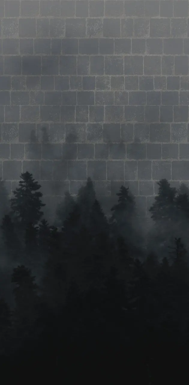 Foggy wall 