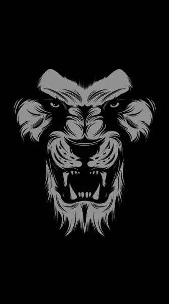 lion face wallpaper hd