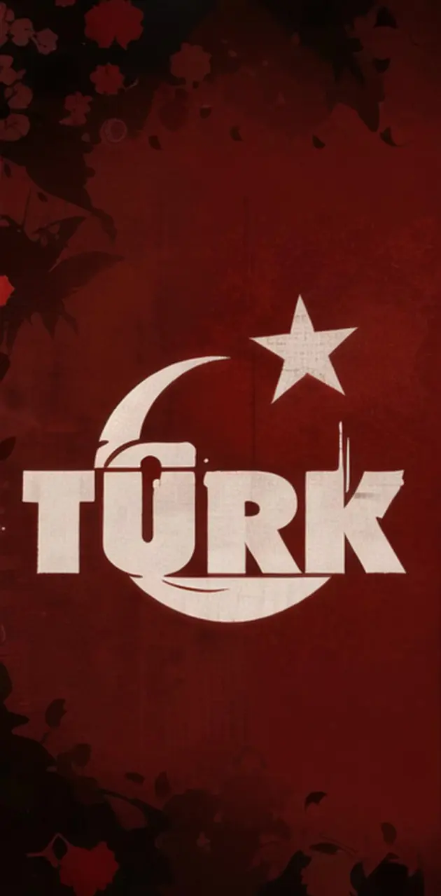 Türk yazısı 