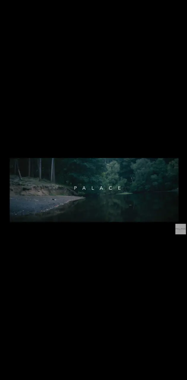 Palace band wallpaper by Watermelon98 - Download on ZEDGE™ | 127c