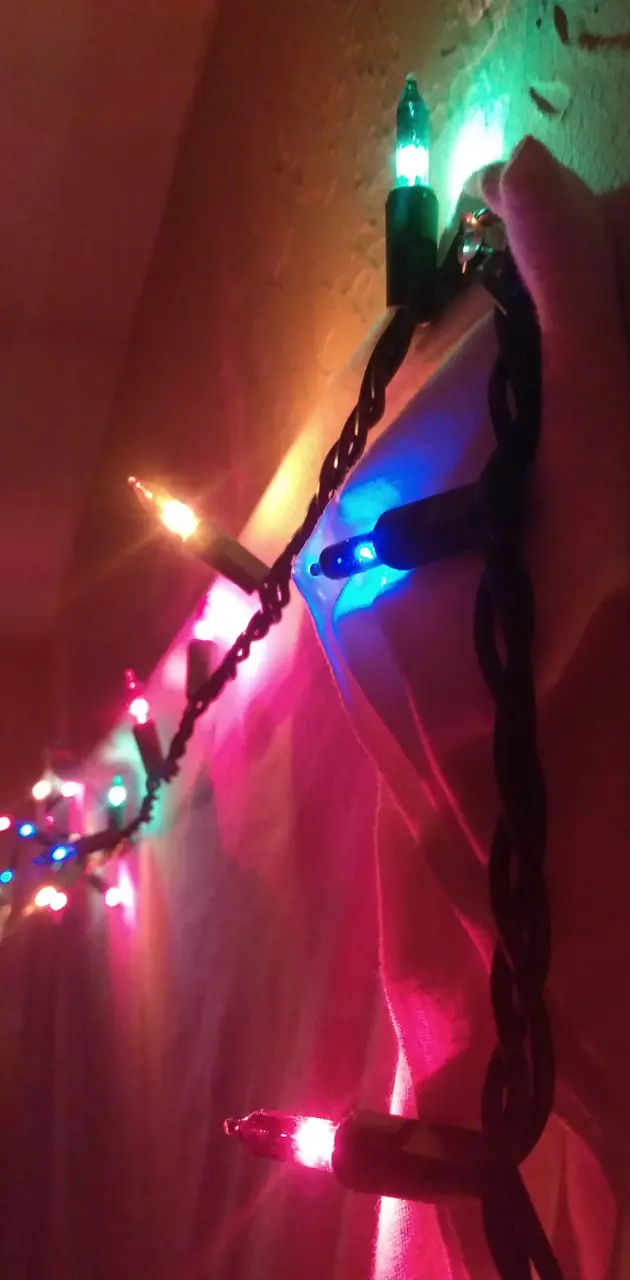 Lights of christmas