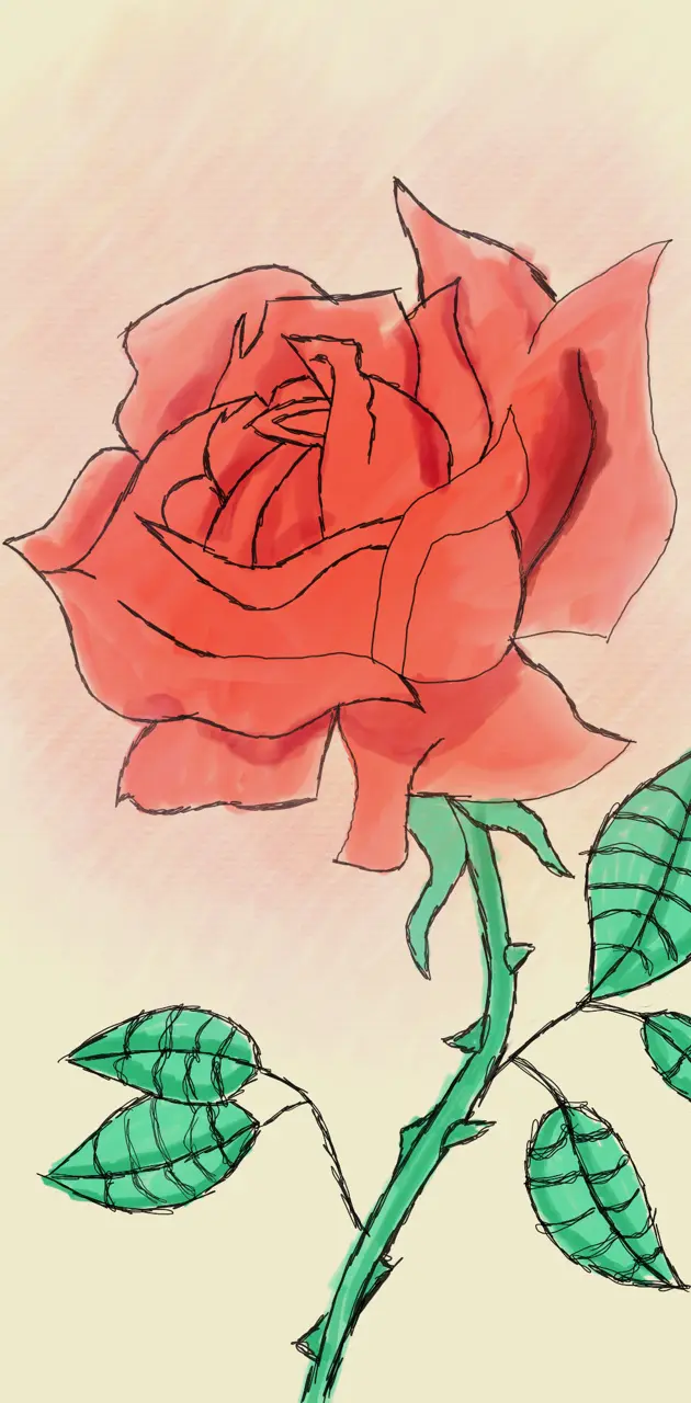 Rose 1