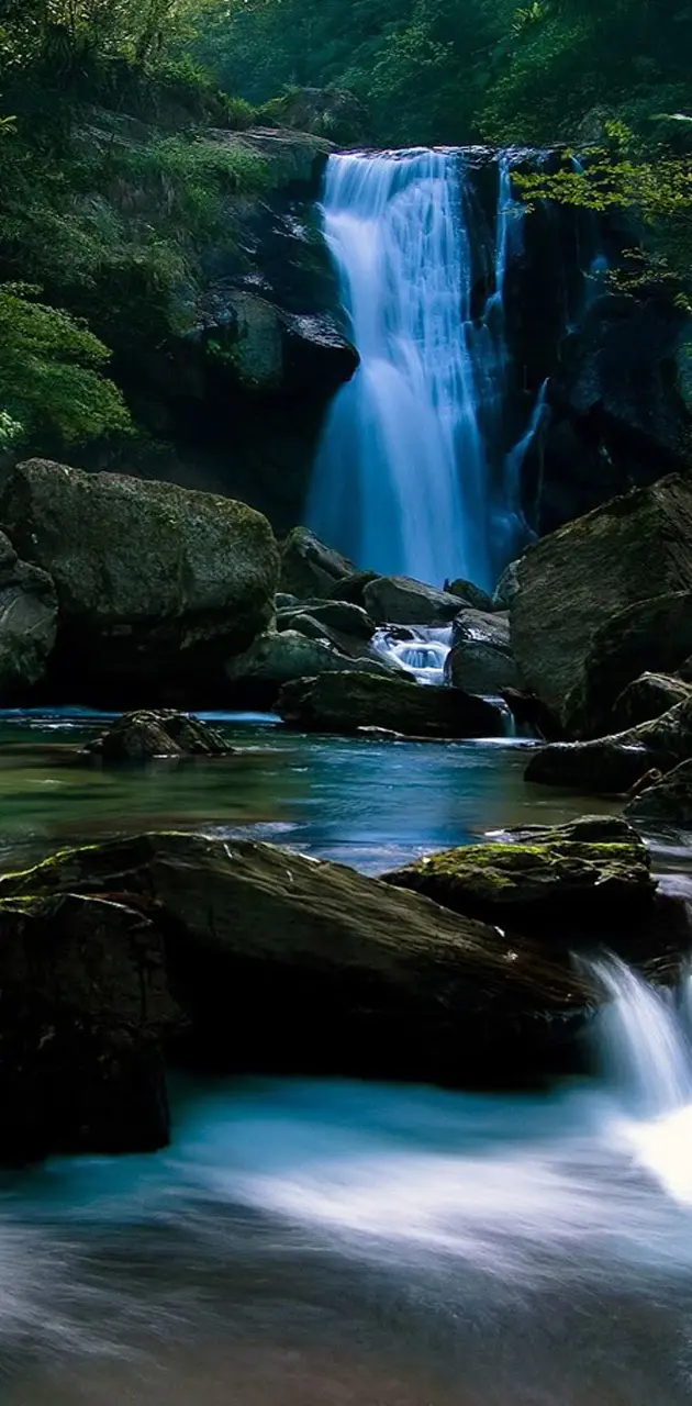 Forest Waterfall Hd