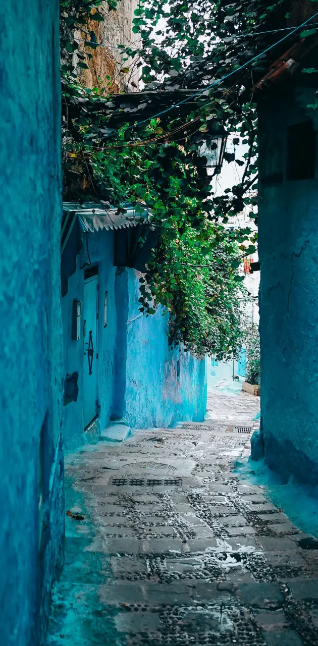 Blue village