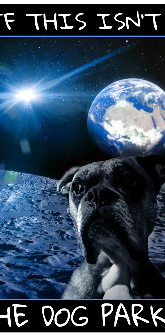 Dog on moon