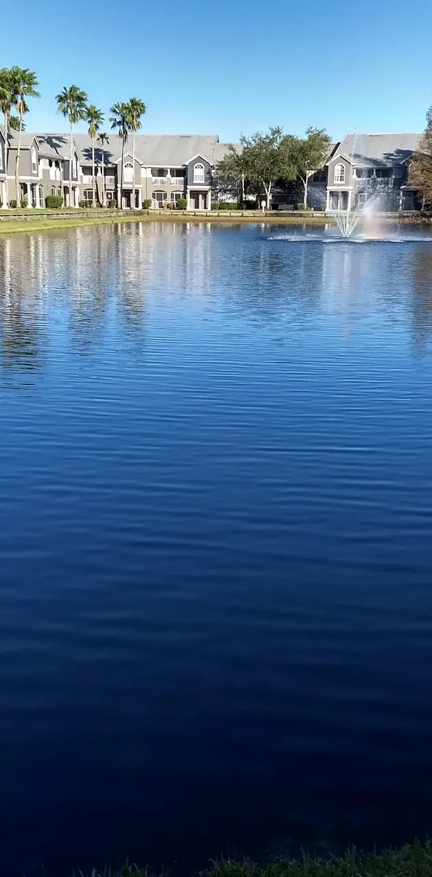 Florida lake 