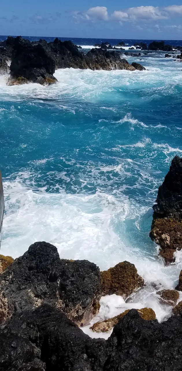 Hawaii Rocks