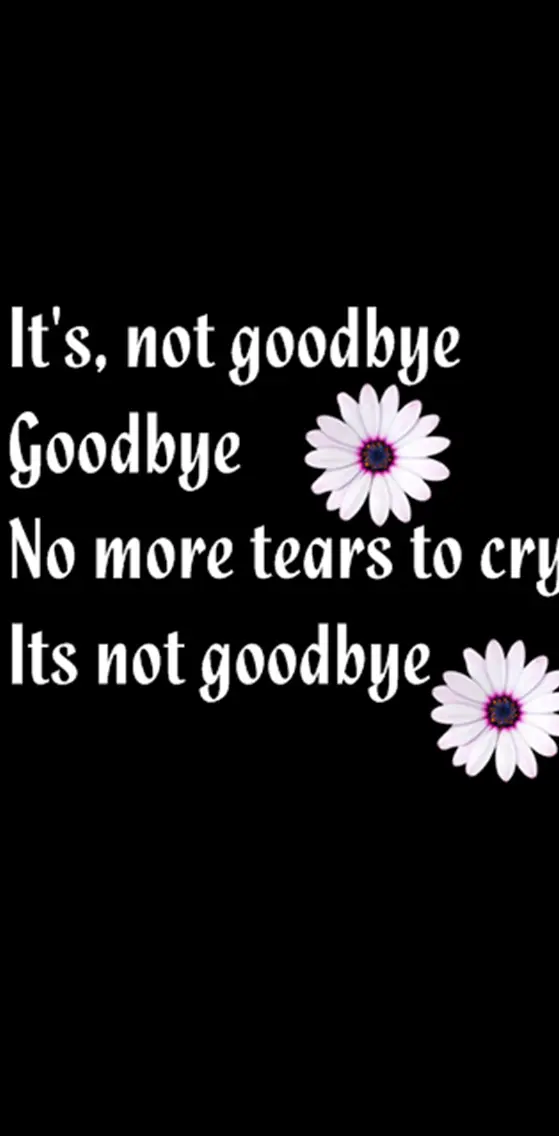 Its Not Goodbye