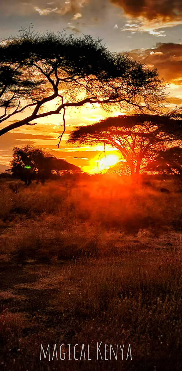 Africa sunset