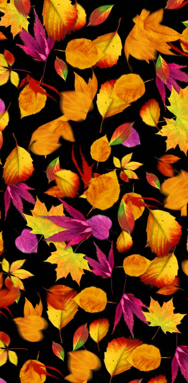 Leaves of Color