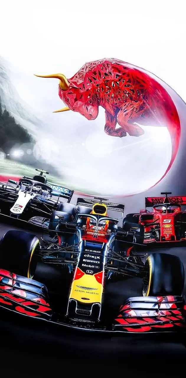 F1 Red Bull road 