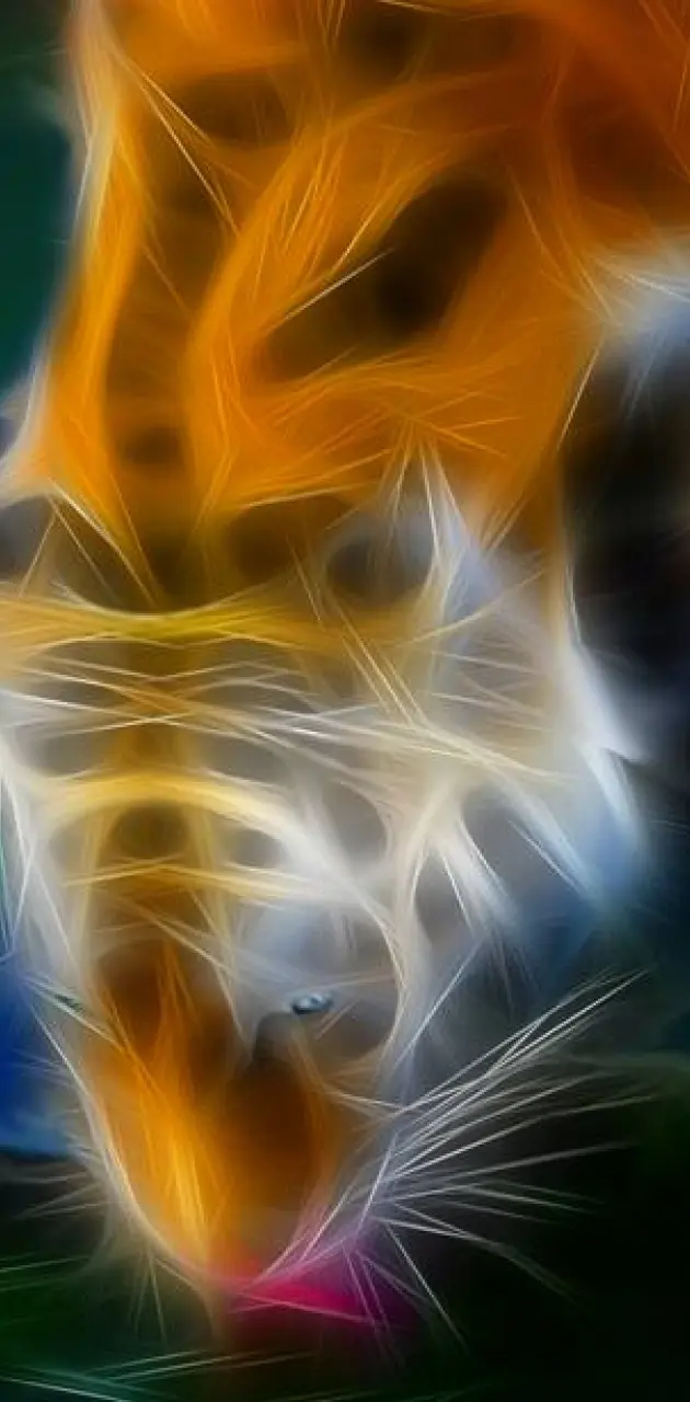 tiger fractal