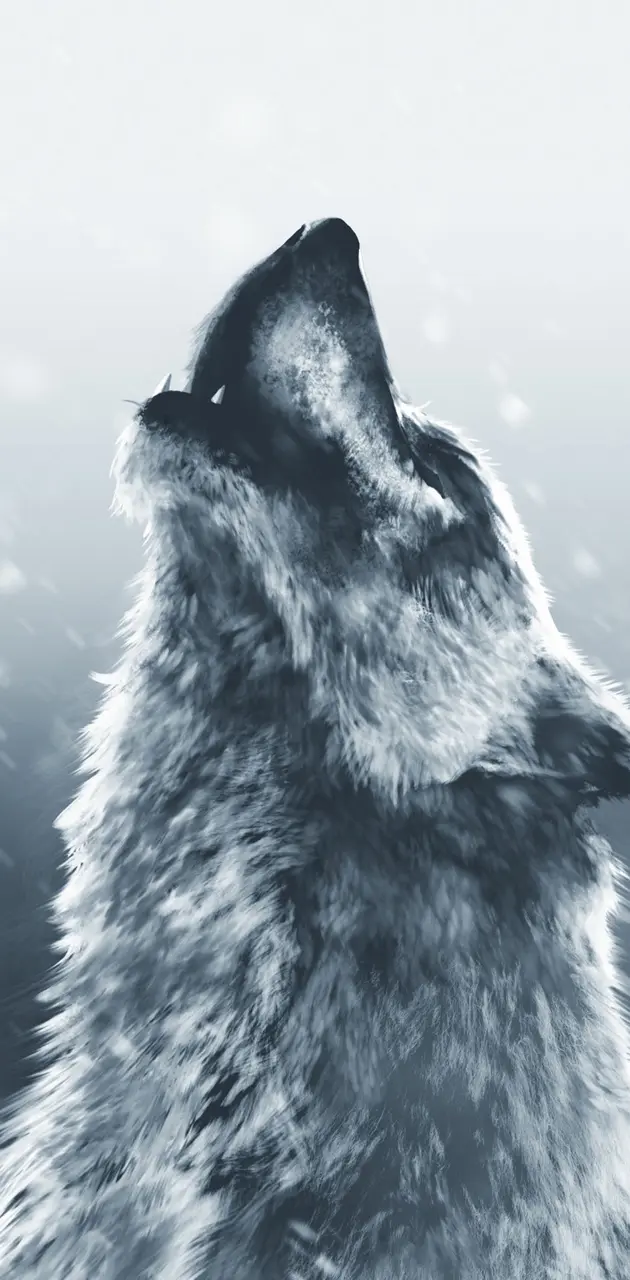 howling wolf wallpaper hd