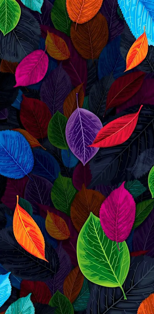 Colorfull Leaf