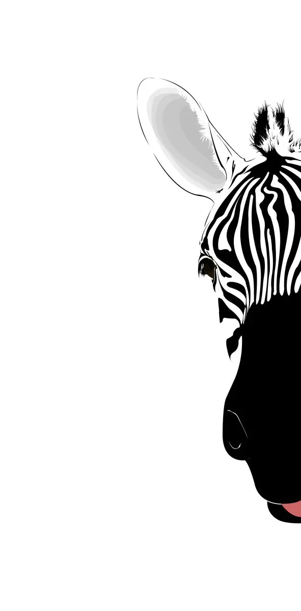Peek-a-boo Zebra