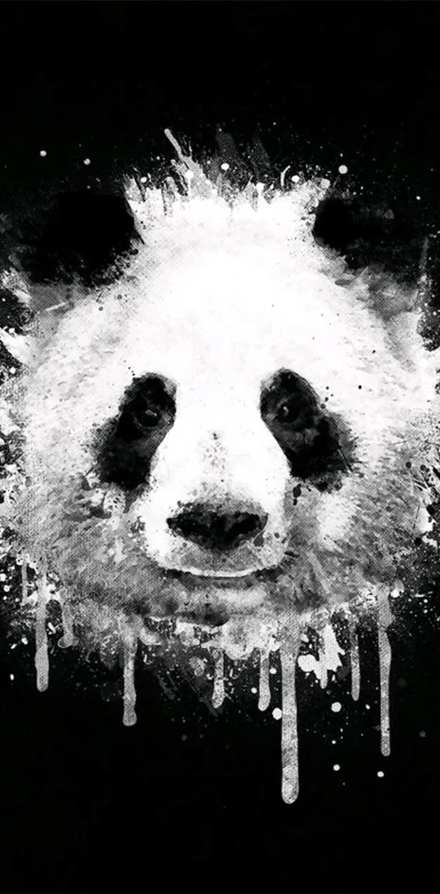 Paint panda