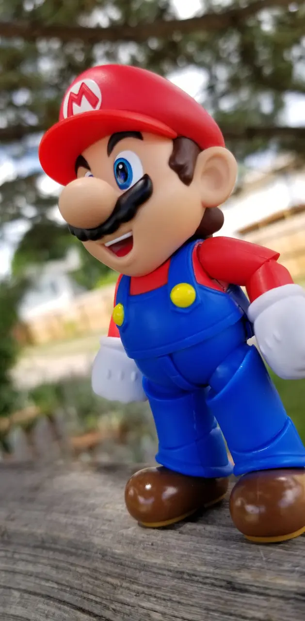 Wild Mario