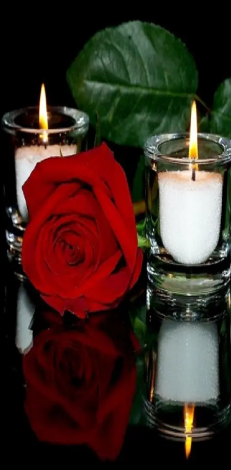 Love Rose Candle