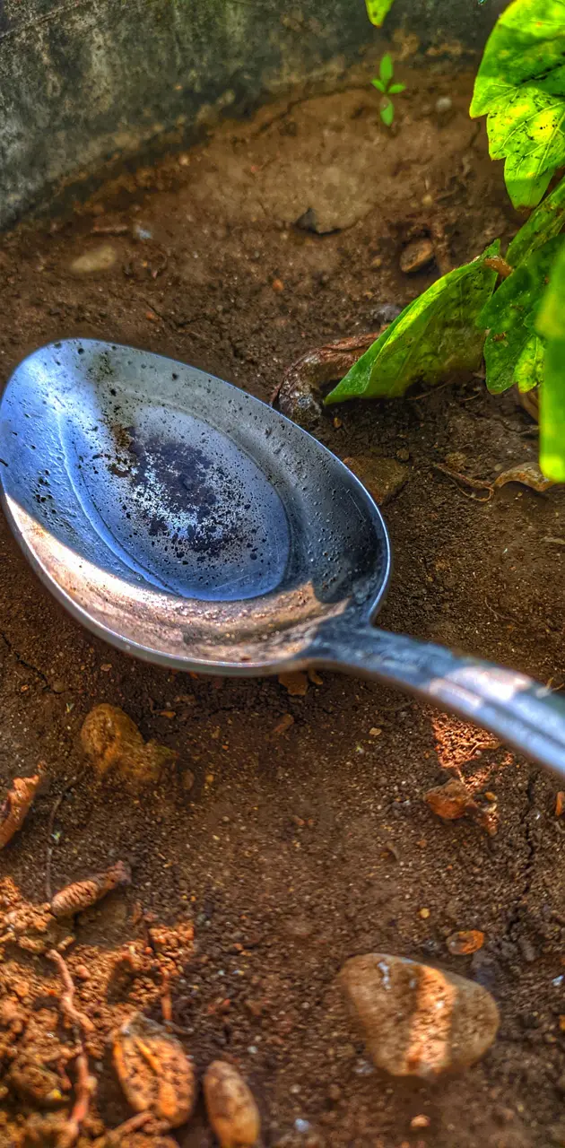 A spoon and nature
