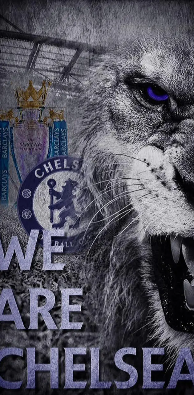 We are chelsea