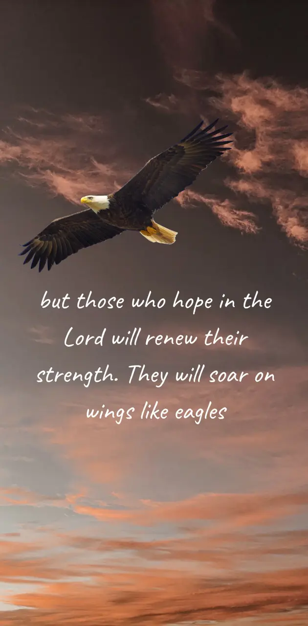 Isaiah 40:31 eagle