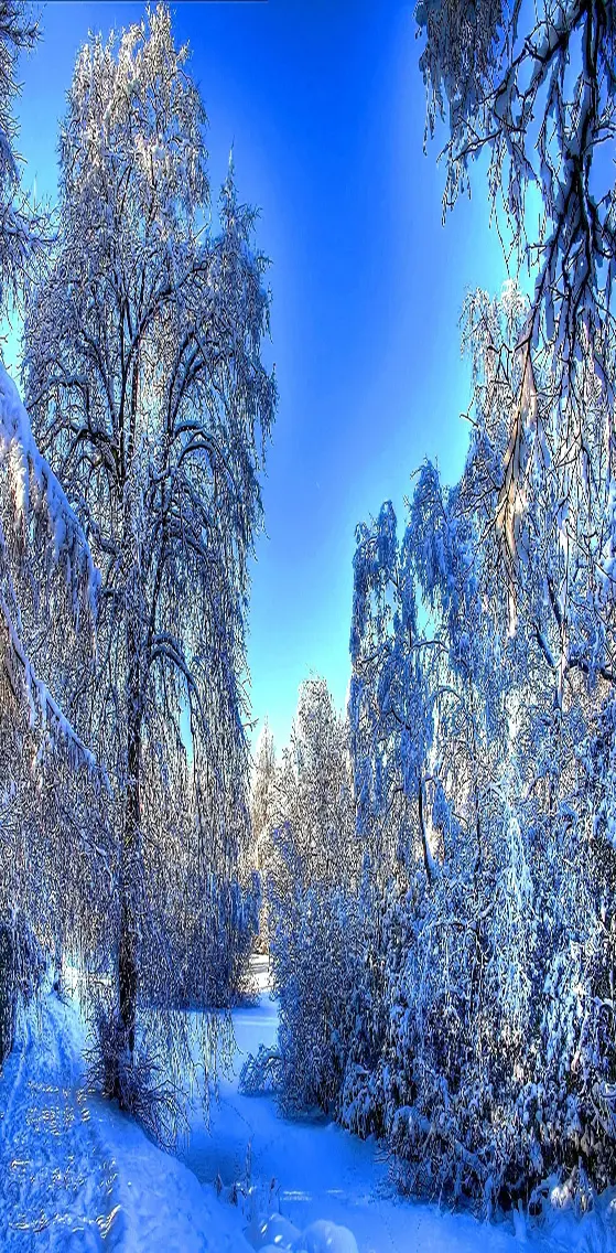 Winter   Landscape