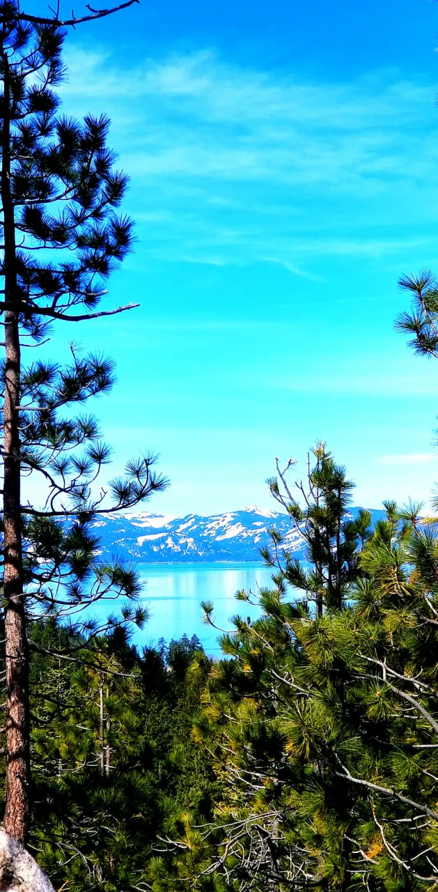 Tahoe blue