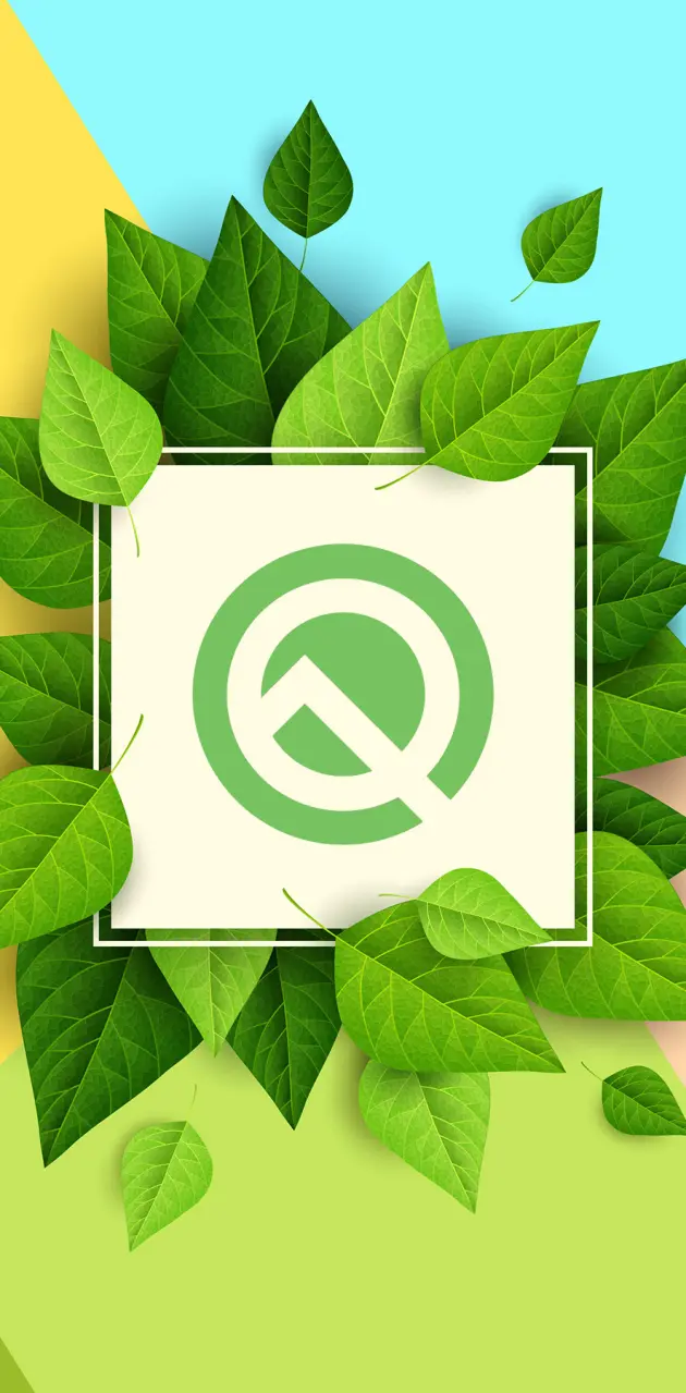 Android Q  