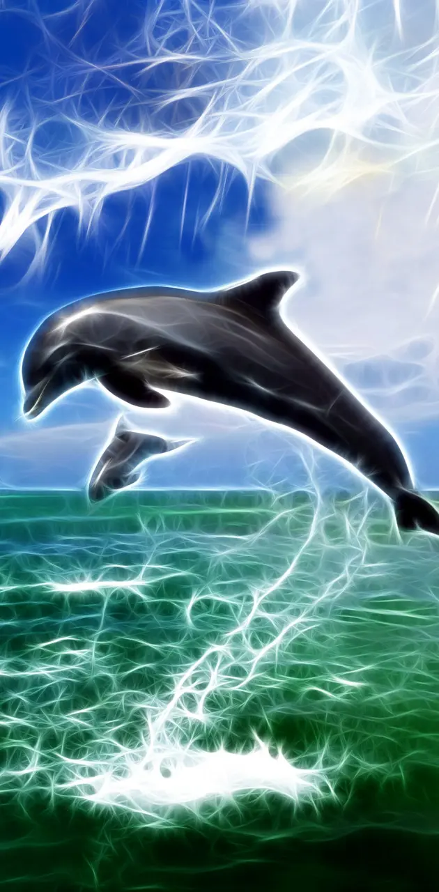 dolphin