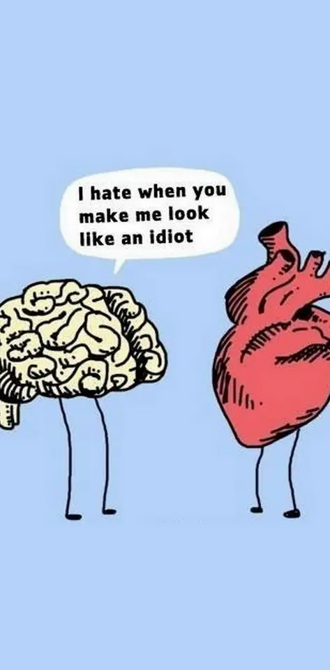 Brain N Heart