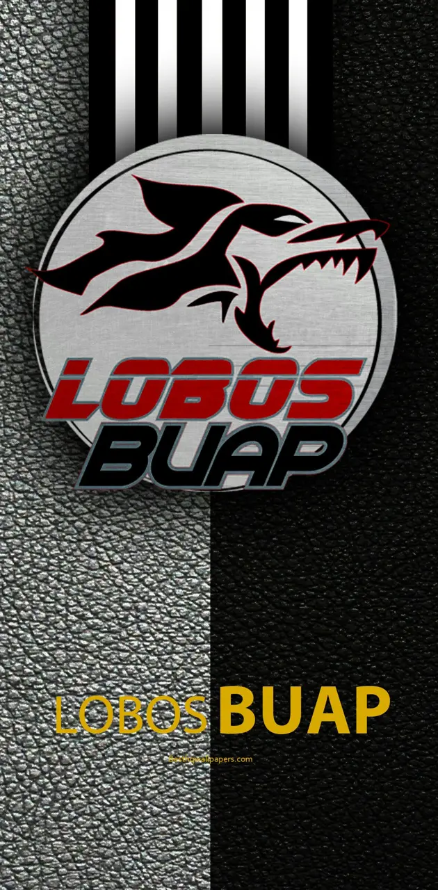 Lobos buap