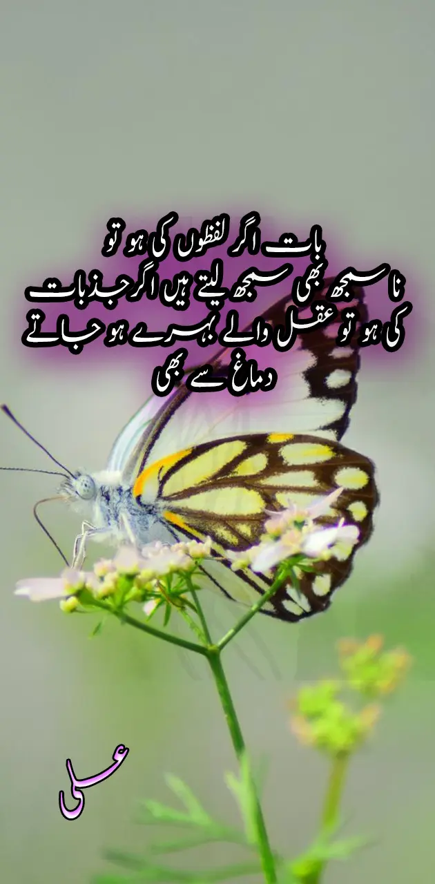 urdu quote
